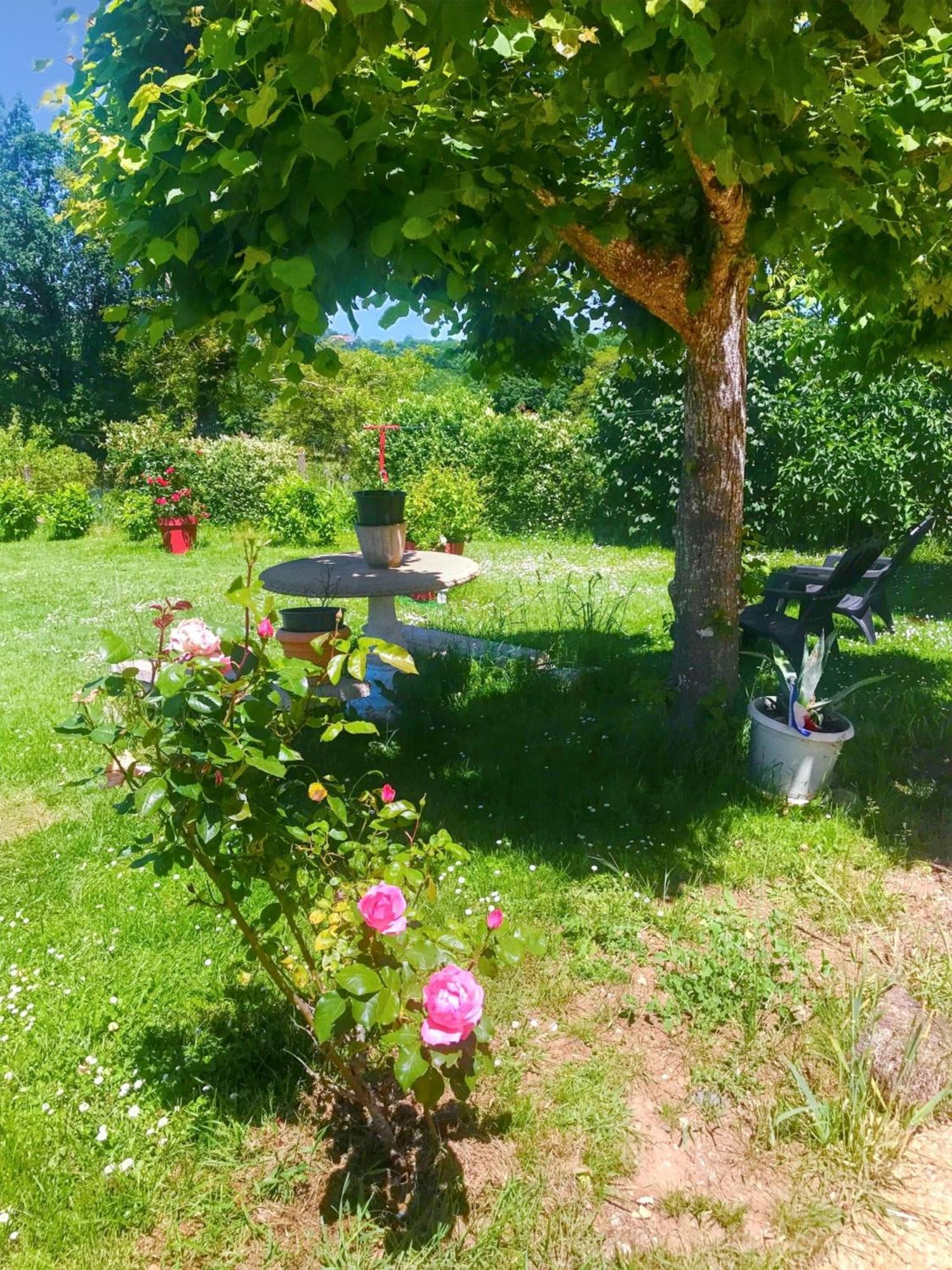 Appartement Charmant A Toulonjac Avec Jardin Et Terrasse 110 M² Exteriör bild