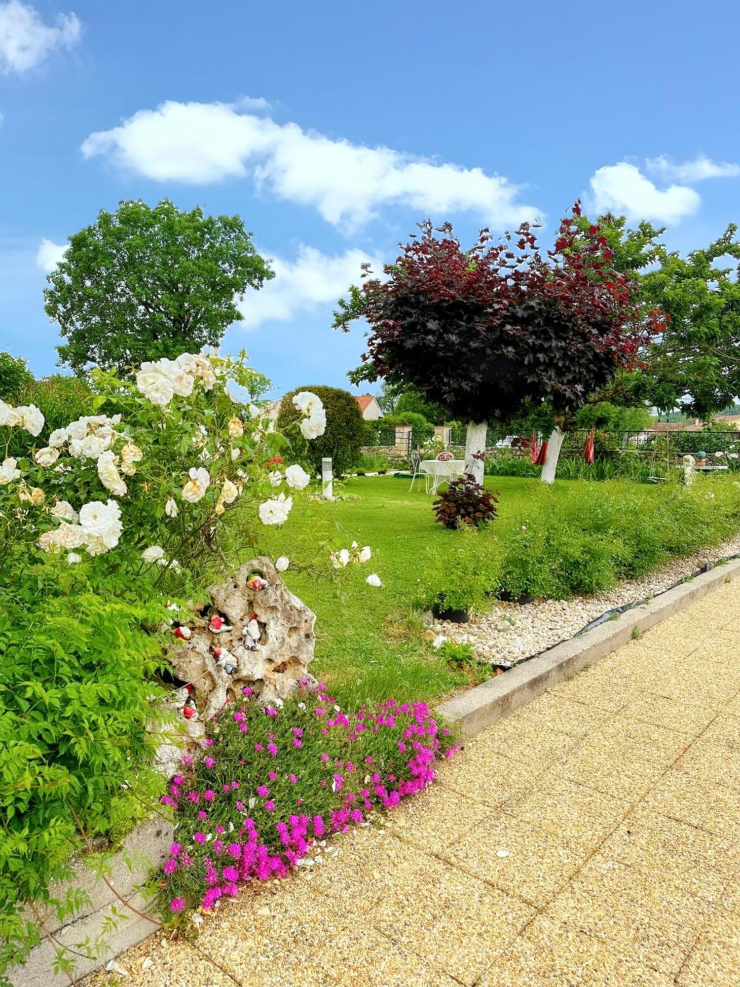 Appartement Charmant A Toulonjac Avec Jardin Et Terrasse 110 M² Exteriör bild