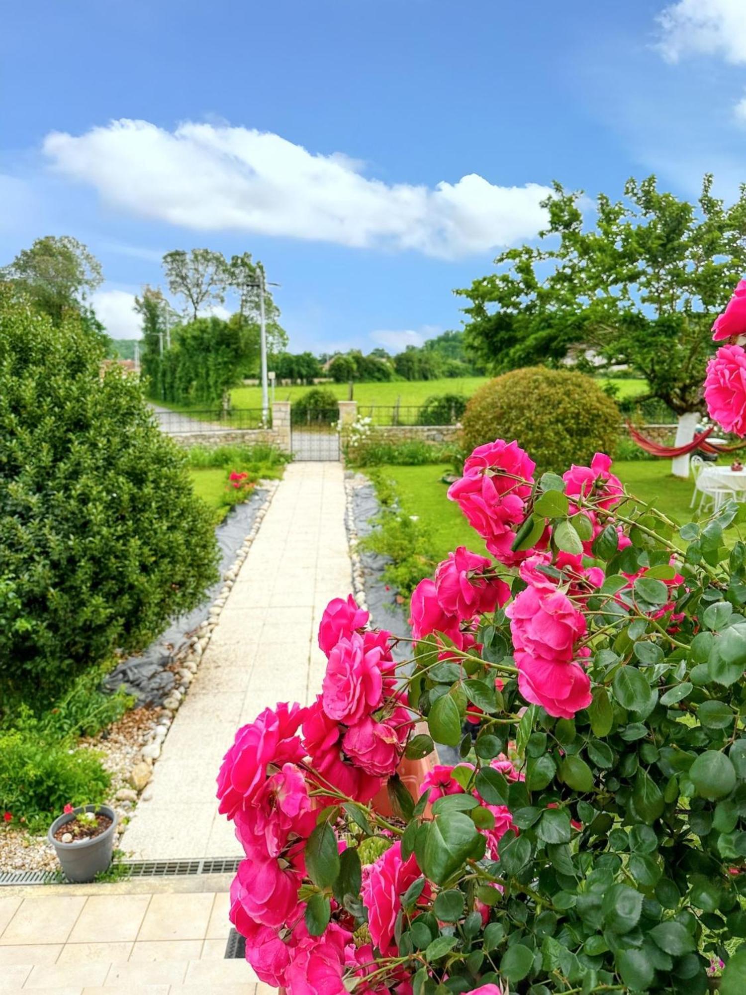 Appartement Charmant A Toulonjac Avec Jardin Et Terrasse 110 M² Exteriör bild
